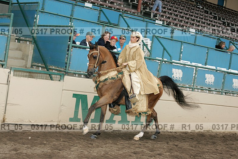 Proof r1_05__0317