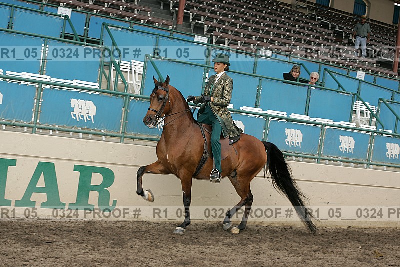 Proof r1_05__0324
