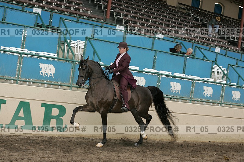Proof r1_05__0325