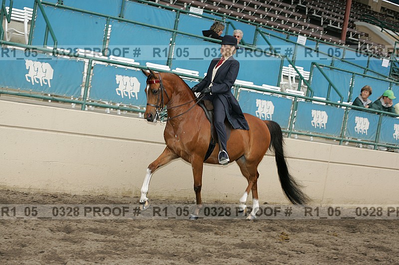 Proof r1_05__0328
