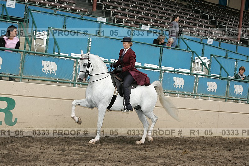 Proof r1_05__0333