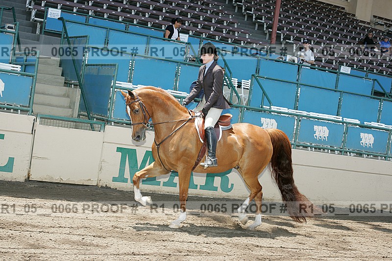 Proof r1_05__0065