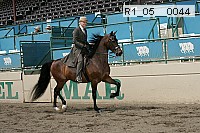 r1_05__0044 proof