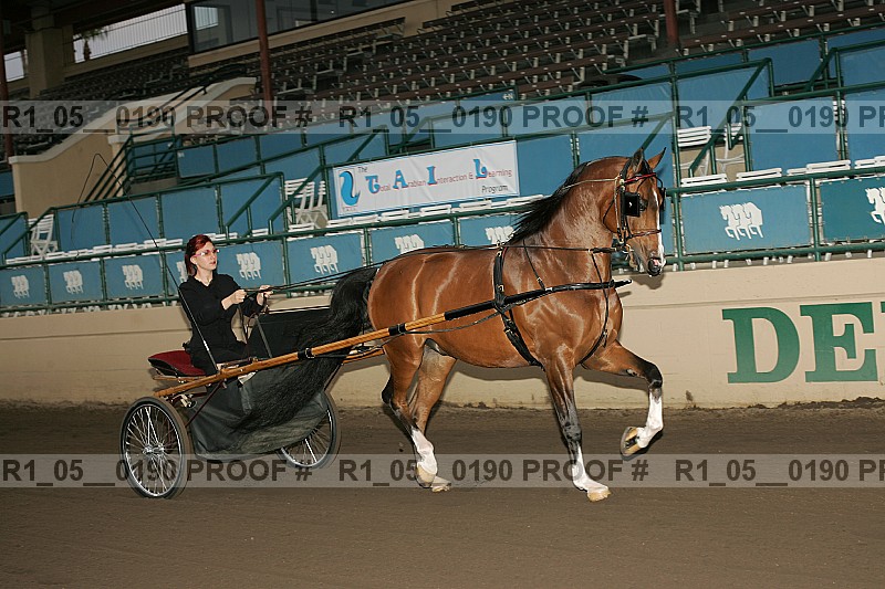 Proof r1_05__0190