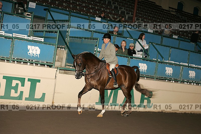 Proof r1_05__0217