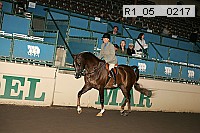 r1_05__0217 proof