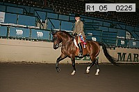 r1_05__0225 proof