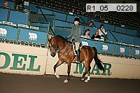 r1_05__0228 proof