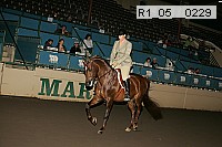 r1_05__0229 proof