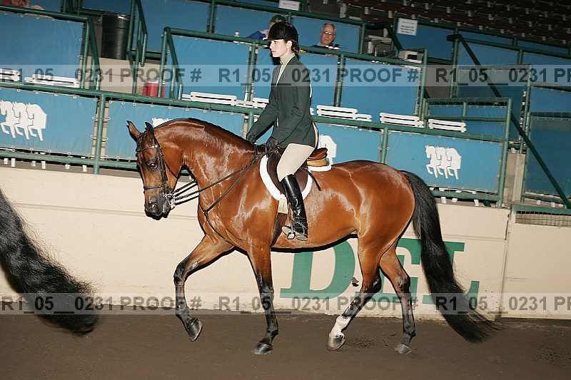 Proof r1_05__0231