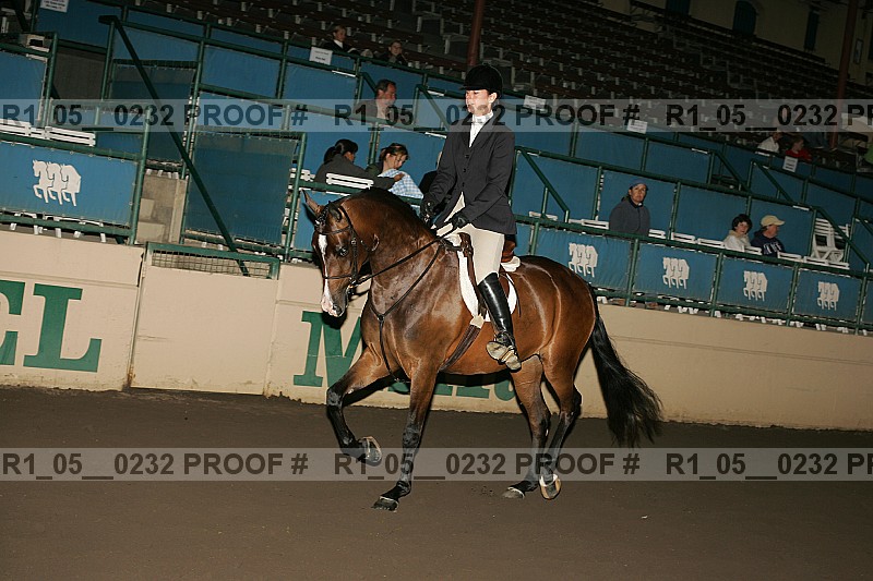 Proof r1_05__0232