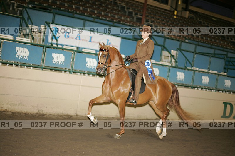 Proof r1_05__0237