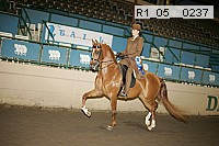 r1_05__0237 proof