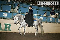 r1_05__0239 proof