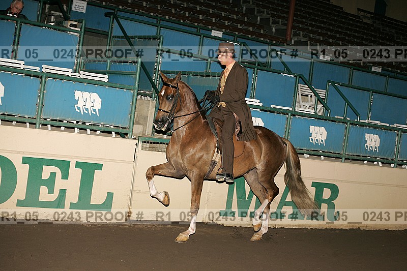 Proof r1_05__0243