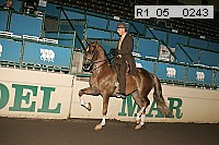 r1_05__0243 proof