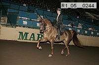 r1_05__0244 proof