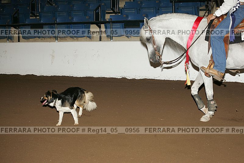 Proof reg14_05__0956