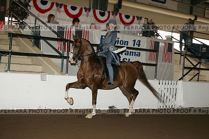 Proof reg14_05__0980