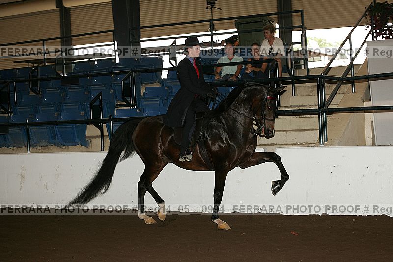 Proof reg14_05__0994