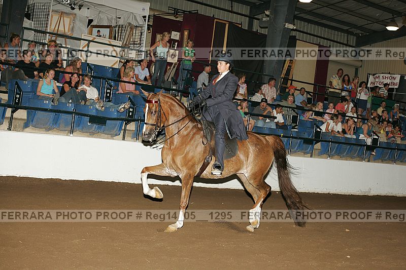 Proof reg14_05__1295
