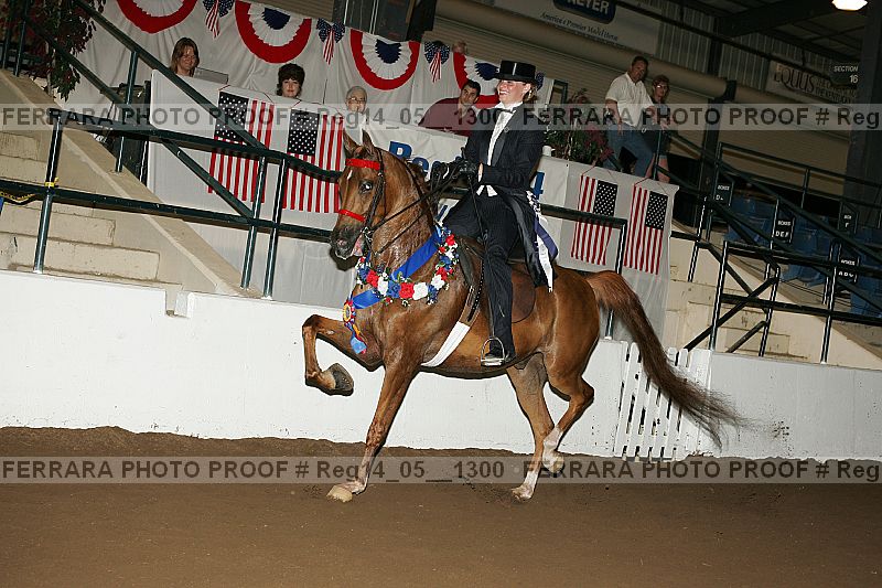 Proof reg14_05__1300