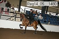 reg14_05__1480 proof