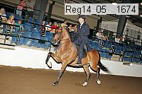 reg14_05__1674 proof