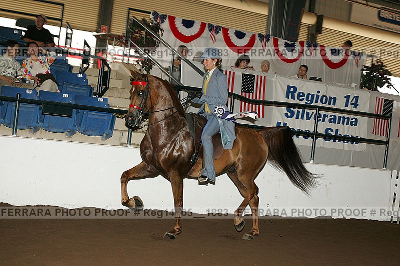 Proof reg14_05__1883