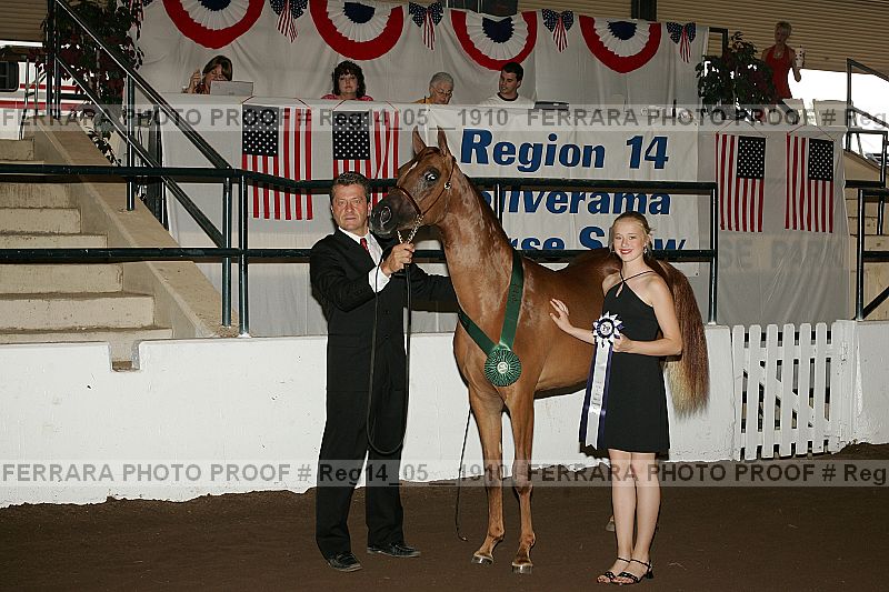 Proof reg14_05__1910