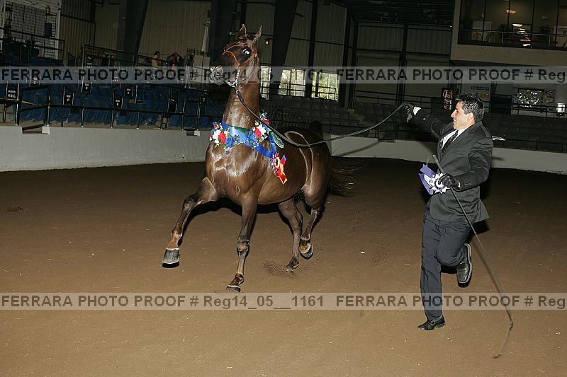 Proof reg14_05__1161