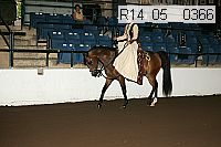 r14_05__0366 proof