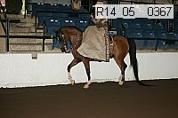 r14_05__0367 proof