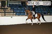 r14_05__0372 proof