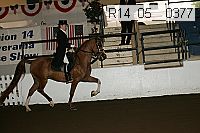 r14_05__0377 proof