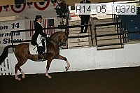 r14_05__0378 proof