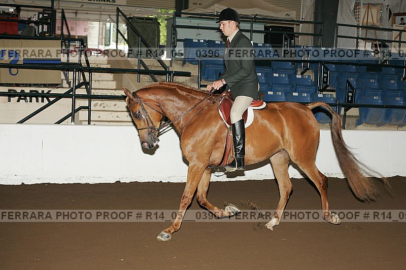 Proof r14_05__0396
