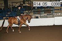 r14_05__0398 proof