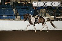r14_05__0416 proof