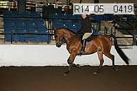 r14_05__0419 proof