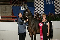 r12_05__0079 proof