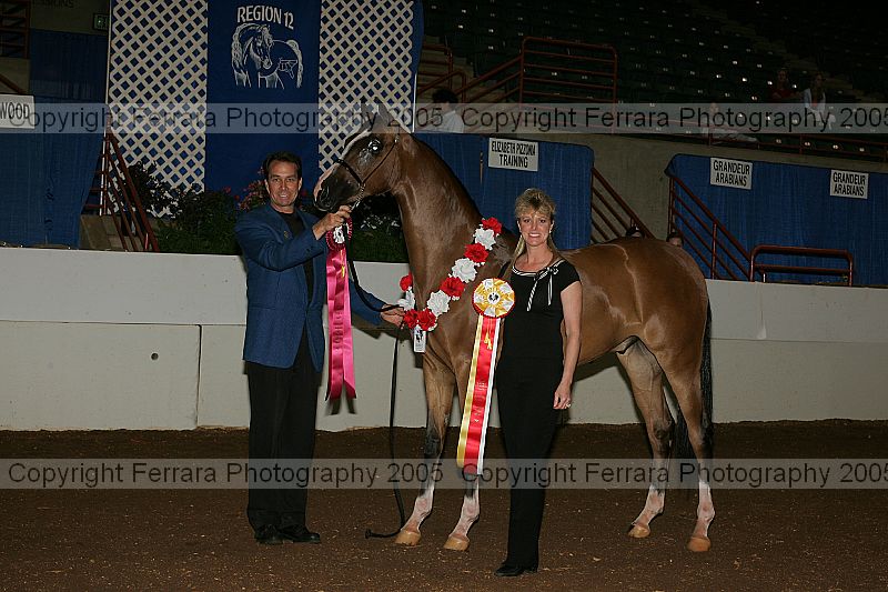 Proof r12_05__0093