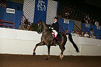 r12_05__0114 proof