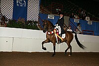 r12_05__0116 proof