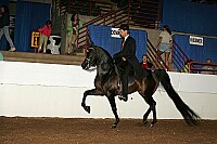 r12_05__0119 proof