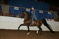 r12_05__0129 proof
