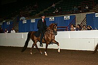 r12_05__0136 proof