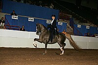 r12_05__0156 proof
