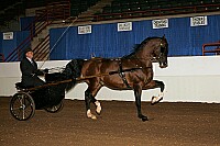 r12_05__0173 proof