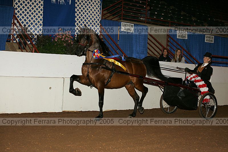 Proof r12_05__0177